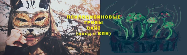 круглые Алзамай