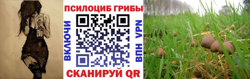 Галлюциногенные грибы GOLDEN TEACHER  наркошоп  Челябинск 