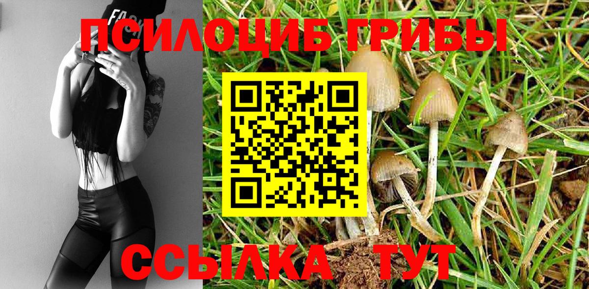 Челябинск  где купить   Вход с VPN  Псилоцибиновые грибы мицелий  Галлюциногенные грибы MAGIC MUSHROOMS 