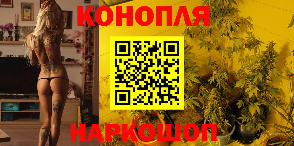 МАРИХУАНА Amnesia  Вход с VPN  Бошки марихуана план  Конопля семена  Челябинск 
